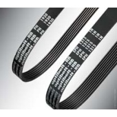 Ribbed belts